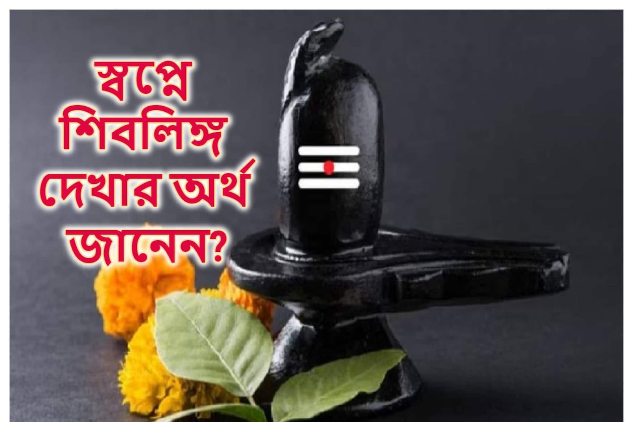 জানেন স্বপ্নে শিবলিঙ্গ দেখলে কী হয়? কখন তা শুভ, কখন অশুভ..কেমন প্রভাব পড়ে জীবনে