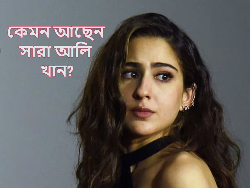 বর্তমানে 'গার্ল টু দ্য নেক্সট ডোর'-এর ইমেজ ঝেড়ে তিনি এখন 'হট সেনসেশন'। একের পর এক ছবি দিয়ে রাতারাতি নেটদুনিয়ার হট সেনসেশন হয়ে উঠেছেন পতৌদির নাতনি সারা আলি খান। 