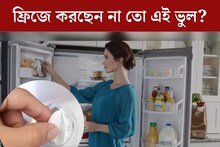 বাড়ছে গরম, কত রাখছেন ফ্রিজের তাপমাত্রা? এই ভুলেই খারাপ হতে পারে খাবার!