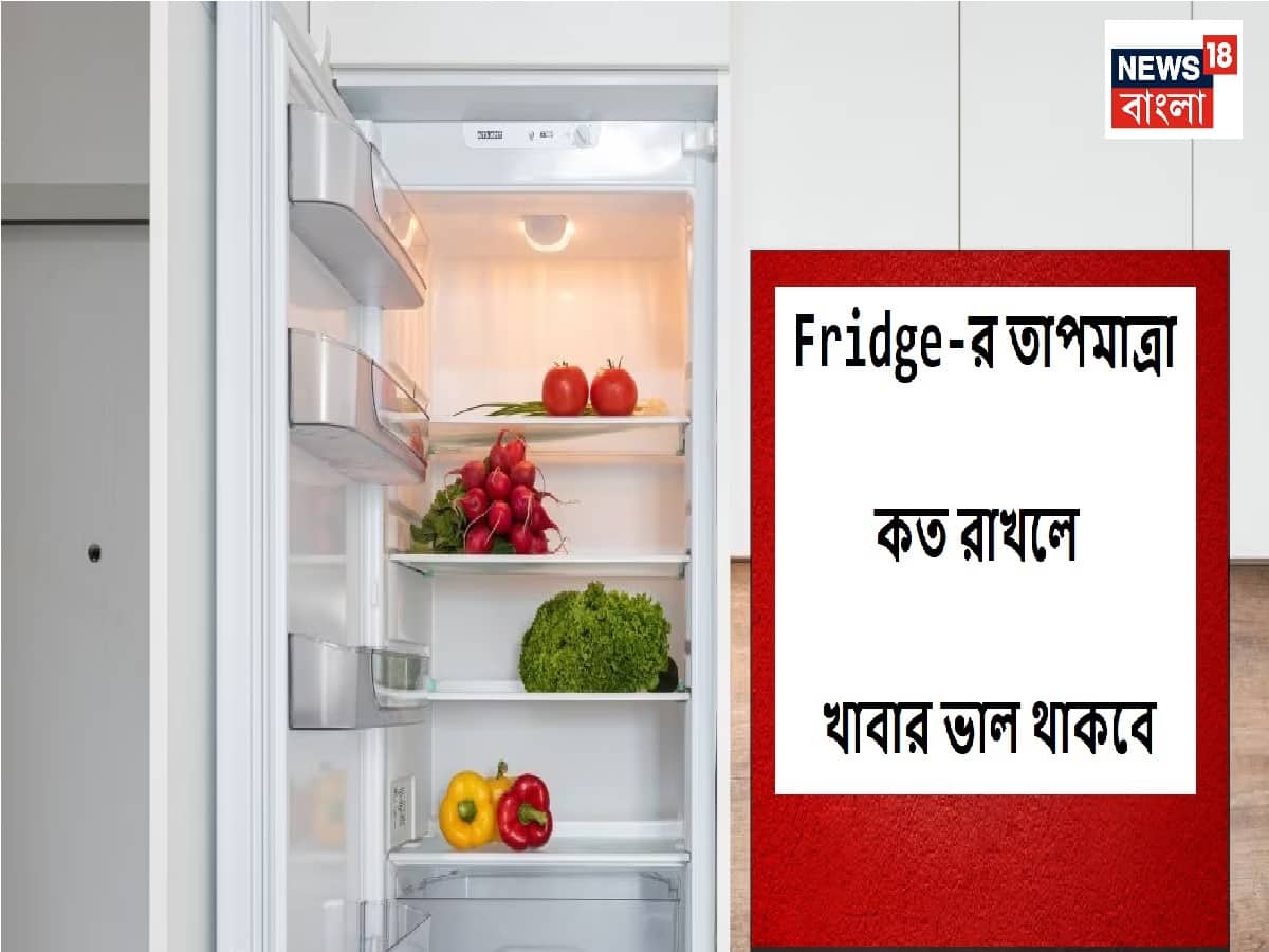 Fridge Temperature গরমে কোন টেম্পারেচরে চালাবেন ফ্রিজ, একট ভুল সব