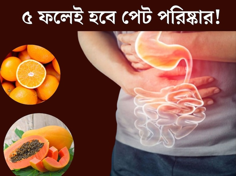 পাচন একটি অত‍্যন্ত জটিল প্রক্রিয়া। দেহের একাধিক অঙ্গ প্রত‍্যক্ষ এবং পরোক্ষ ভাবে পাচন কার্যে নিযুক্ত থাকে। কিন্ত বর্তমানে অনেকেই পাচনের সমস‍্যায় ভুগছেন। পাচন প্রক্রিয়া সঠিকভাবে না হওয়ায় পেটে জমে থেকে যায় পুরনো খাবারের অংশ। কিন্ত কয়েকটি ফল পাচন ক্ষমতাকে শক্তিশালী করতে সক্ষম। 