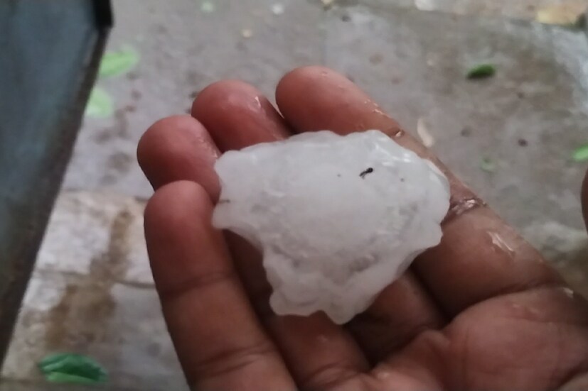 আজ থেকে অর্থাৎ ৪ মার্চ থেকে ইউপি-দিল্লি এবং হরিয়ানা-পঞ্জাবে বৃষ্টি ও শিলাবৃষ্টির তীব্রতা কমবে। রাজস্থান, গুজরাত, মধ্যপ্রদেশ, ছত্তিশগড় এবং বিহারের বিচ্ছিন্ন কিছু অংশে হালকা বৃষ্টির সঙ্গে এক বা দুটি মাঝারি বৃষ্টি হতে পারে।