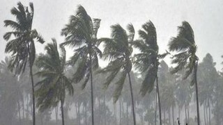 কয়েক মিনিটের তাণ্ডব, অকাল কালবৈশাখীতে লণ্ডভণ্ড জলপাইগুড়ি! মৃত ২, আহত শতাধিক