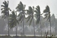 কয়েক মিনিটের তাণ্ডব, কালবৈশাখীতে লণ্ডভণ্ড জলপাইগুড়ি! মৃত ৪, আহত শতাধিক