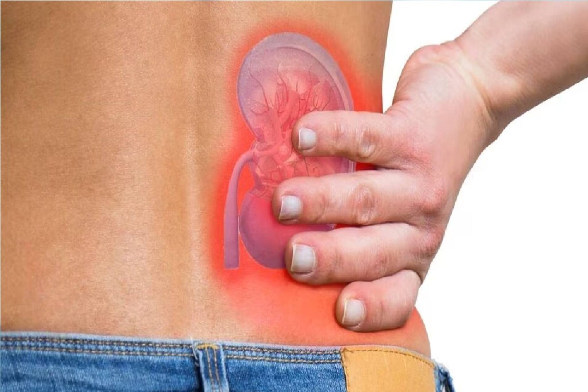 প্রতিদিনের ৩ কুঅভ্যাসেই সব শেষ! কিডনির দফারফা! শুধরে নিন আজই!