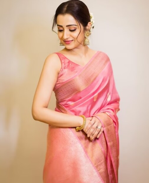 তৃষা কৃষ্ণন ১৯৯৯ সালের তামিল রোম্যান্টিক ছবিতে একটি ছোট সহায়ক ভূমিকায় অভিনয়ের মাধ্যমে কর্মজীবন শুরু করেছিলেন। ২০০২ সালে মুক্তিপ্রাপ্ত তাঁর প্রথম ছবি 'মৌনম পেশিয়াদে' তিনি মূল ভূমিকায় ছিলেন। তারপর থেকে তৃষাকে আর পিছন দিকে ফিরে তাকাতে হয়নি। বর্তমানে তৃষা কৃষ্ণন তাঁর কেরিয়ারের শীর্ষে রয়েছেন। তাঁকে শেষ দেখা যায় তালাপতি বিজয়ের সঙ্গে 'লিও' ছবিতে অভিনয় করতে। আগামী দিনে তাঁকে 'বিদা মুয়ারচি', 'রাম', 'ঠাগ লাইফ' এবং 'বিশ্বম্ভরা' সহ আরও নানা ছবিতে দেখা যাবে। 