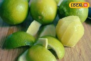 রান্নাঘরে তেলচিটে তাক-বাসন, ডাস্টবিন থেকে পচা গন্ধ? সমাধান লুকিয়ে লেবুর খোসায়!