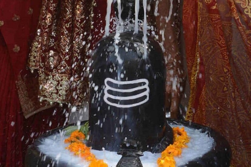 শনির অপার কৃপার সঙ্গে সঙ্গে শিবের আশীর্বাদে জাতক-জাতিকাদের কখনই কোনও ভাবেই আর্থিক সমস্যার সম্মুখীন হতে হয়না ৷ প্রতীকী ছবি ৷