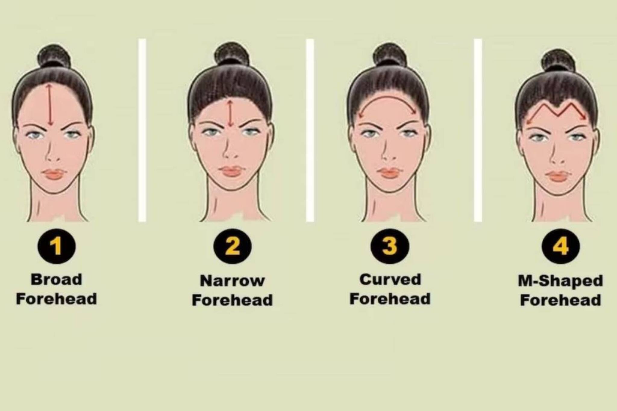 আপনি মিশুকে না অসামাজিক? বুদ্ধিমান নাকি বোকা? ব্যক্তিত্ব বলে দেবে কপালের আকৃতি