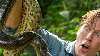 অ্যানাকোন্ডার নাম রাখা হয় অ্যানা জুলিয়া