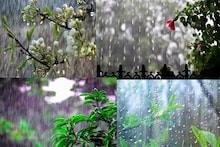 রবিবার পর্যন্ত বৃষ্টি! আগামিকাল ও পরে কলকাতা-সহ কোথায় কবে বৃষ্টি? রইল পূর্বাভাস