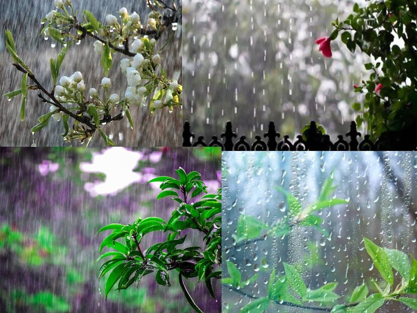 ফাল্গুনের পর ভরা চৈত্রেও বাংলার বাসিন্দাদের আপাতত রেহাই নেই বৃষ্টি থেকে। রবিবার পর্যন্ত রাজ্যের বিভিন্ন জেলায় বজ্রবিদ্যুৎ-সহ হালকা থেকে মাঝারি বৃষ্টি হতে পারে। পূর্বাভাস আলিপুর আবহাওয়া দফতরের। 