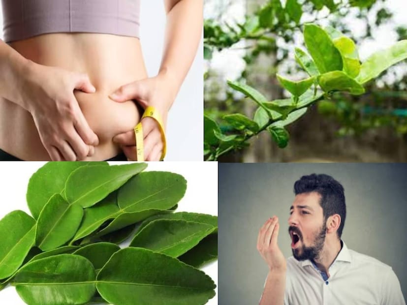 বাংলার মাটিতে, গেরস্থালির স্বাদে হাজির নানারকম লেবু। গন্ধরাজ, পাতি, কাগজী-সহ কত রকমের লেবু যে বাগানের গাছে ফলে, তার কোনও ইয়ত্তা নেই। 