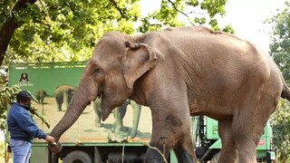 ক্রনিক গেঁটে বাত-সহ নানা সমস্যায় কাহিল ছিল ৩৩ বছর বয়সি লক্ষ্মী ক্রনিক গেঁটে বাত-সহ নানা সমস্যায় কাহিল ছিল ৩৩ বছর বয়সি লক্ষ্মী