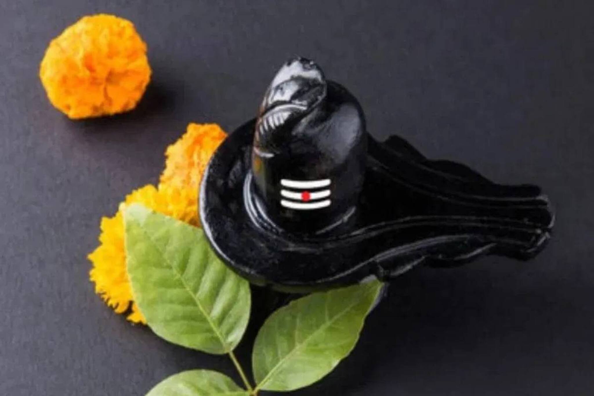 আসছে নীলষষ্ঠী, সন্তানের কল্যাণে মহাদেবকে কী অর্পণ করবেন, কীকরে পুজো করবেন, জানুন