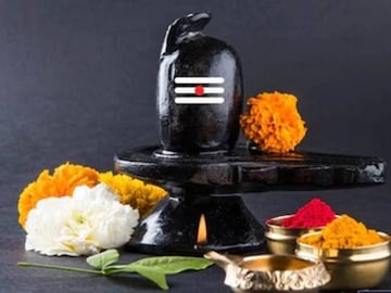 মহাশিবরাত্রিতে বাড়িতে লাগান এই গাছগুলি! ঘরে আসবে টাকা, রকেটের গতিতে হবে উন্নতি