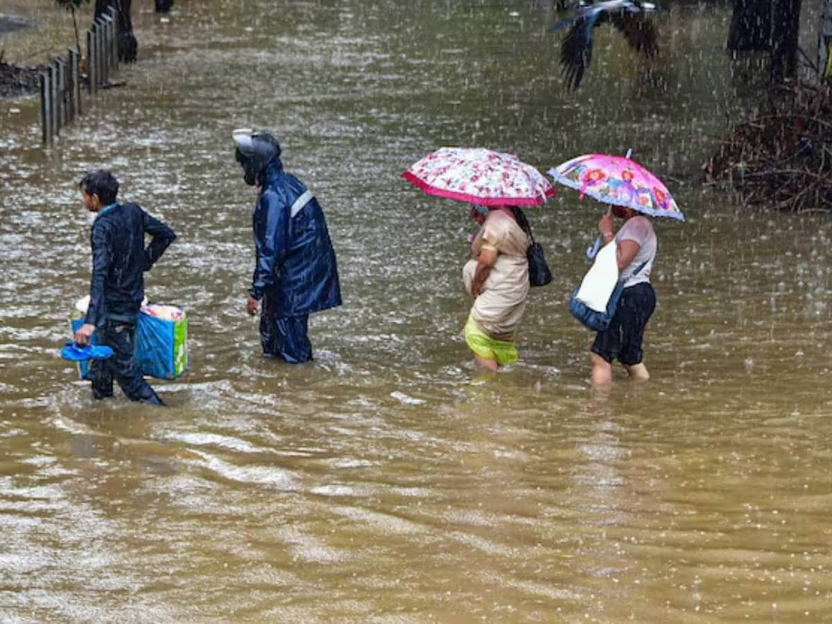 বর্ষা নিয়ে দেশ জুড়ে ঘোর অশনি সঙ্কেত। একাধিক সংস্থার পূর্বাভাস এ বার বর্ষায় ভারতে ফিরছে ‘লা নিনা’। এশিয়া প্যাসিফিক ইকোনমিক কর্পোরেশন ক্লাইমেট সেন্টার বা এপিসিসি ভারতে বর্ষাকাল নিয়ে পূর্বাভাস জানিয়েছে। 