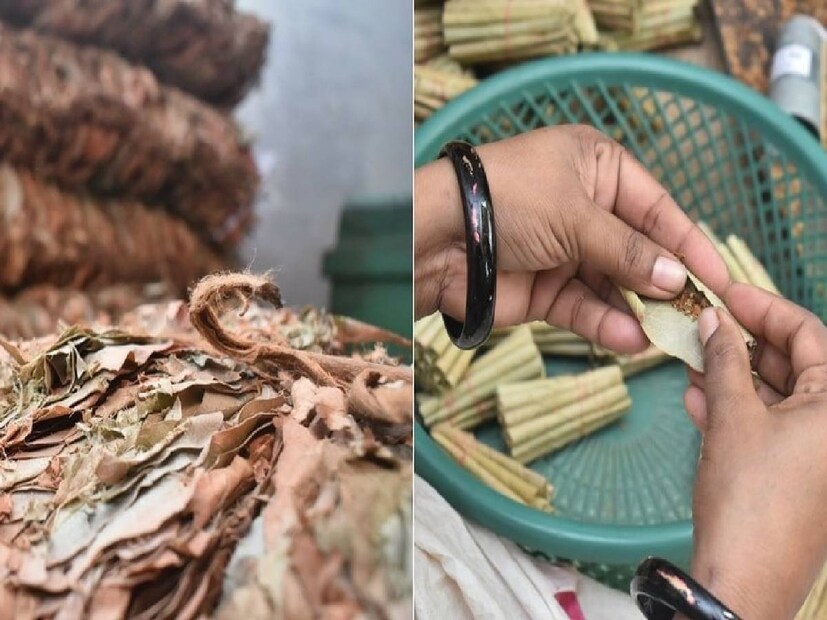 অনেকে বিড়িকে বলে হাতে বানানো সিগারেট। বিড়ি বানানো কিন্তু গ্রামাঞ্চলে একটি বড় রোজগারের উৎস। গ্রামীণ নারীরা বাড়িতেই তৈরি করে স্থানীয়ভাবে বিক্রি করেন। তামাক সরাসরি কাগজ বা পান পাতায় মুড়ে তৈরি করা হয়।