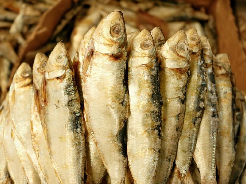 Loitta Fish Benefits: মাছে প্রচুর পরিমাণে আয়রন থাকে যা আমাদের শরীরের তাপমাত্রা নিয়ন্ত্রণে সাহায্য করে। শরীরে প্রয়োজনীয় অক্সিজেন সঠিক পরিমাণে সরবরাহ করতেও আয়রনের প্রয়োজন হয়।