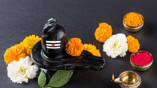 বিশ্বাস করা হয় যে মহাশিবরাত্রির উপবাস সাধককে সমস্ত পাপ থেকে মুক্ত করে, দুঃখ, রোগ এবং ত্রুটি দূর করে