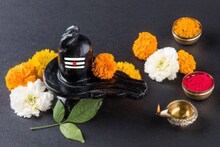 আজ মহাশিবরাত্রিতে উপবাস করছেন? এই নিয়মগুলি মানছেন তো? জানুন এখনই