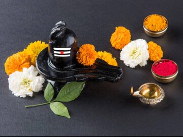 বিশ্বাস করা হয় যে মহাশিবরাত্রির উপবাস সাধককে সমস্ত পাপ থেকে মুক্ত করে, দুঃখ, রোগ এবং ত্রুটি দূর করে