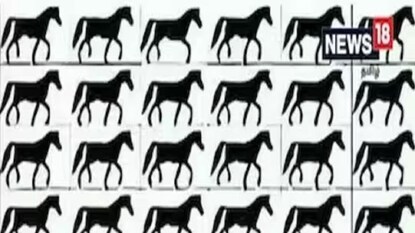 ছবিতে এতগুলি ঘোড়ার ভিড়ে লেজবিহীন ঘোড়াটিকে দেখতে পাচ্ছেন? ছবিতে এতগুলি ঘোড়ার ভিড়ে লেজবিহীন ঘোড়াটিকে দেখতে পাচ্ছেন?