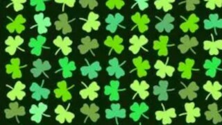 (Picture Credit-VSO) (Picture Credit-VSO)