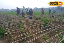 ভারতের থেকে শিখে বাংলাদেশে শুরু বিষমুক্ত খাদ্য উৎপাদন