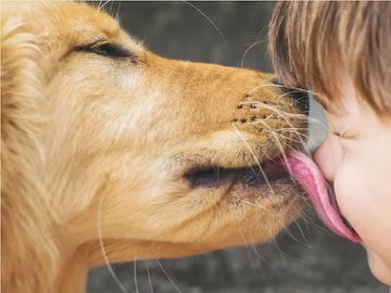 প্রিয় পোষ্য নাক-মুখ চেটে আদর করে! অজান্তেই হানা দিচ্ছে মারণ রোগ! মৃত্যু হতে পারে প্রিয় পোষ্য নাক-মুখ চেটে আদর করে! অজান্তেই হানা দিচ্ছে মারণ রোগ! মৃত্যু হতে পারে