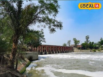 পিয়ালী