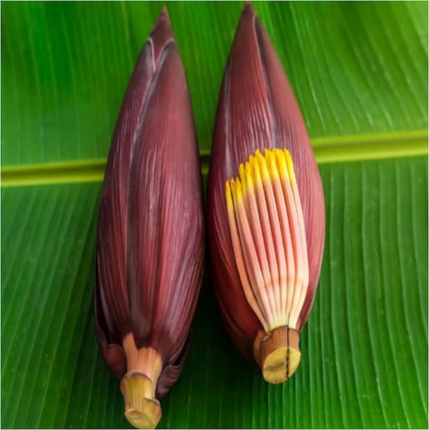 ডায়াবেটিস, রক্তাল্পতা, ডিপ্রেশন, অ্যালজাইমা, যে কোনও ধরনের সংক্রমণের বিরুদ্ধে লড়াই করতে, হজম সমস্যা দূর করতে ও  হৃদরোগের ঝুঁকি কমাতে মোচা খুবই উপকারি বলা হয়।