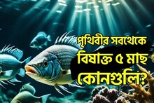 বলুন তো, পৃথিবীর সবথেকে বিষাক্ত ৫ মাছ কোনগুলি? খাওয়ার কথা ভুলেও ভাববেন না