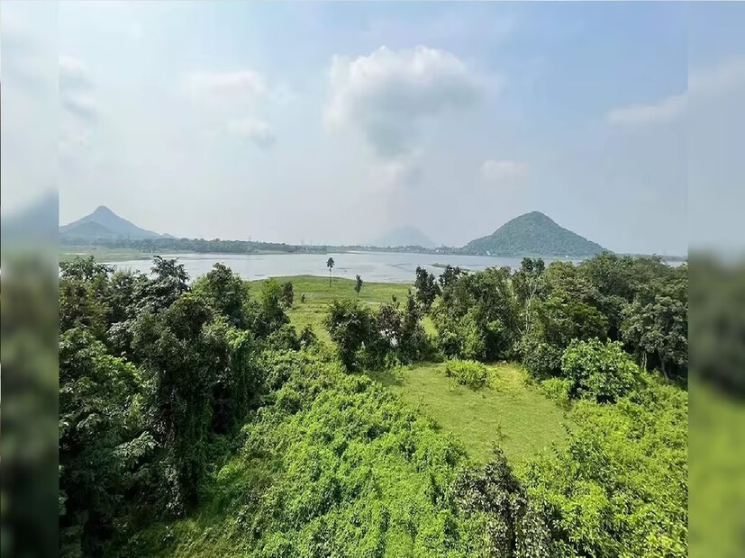 জেলা পুরুলিয়াতেও বিক্ষিপ্তভাবে বৃষ্টি হতে দেখা যাচ্ছে। যদিও মঙ্গলবার পুরুলিয়ার আবহাওয়া বেশ খানিকটা শুষ্ক ছিল। 