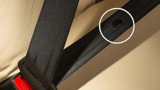 গাড়ির সিটবেল্টে রয়েছে গোপন বোতাম, এর কি কাজ জানেন? (Photo: Canva) গাড়ির সিটবেল্টে রয়েছে গোপন বোতাম, এর কি কাজ জানেন? (Photo: Canva)