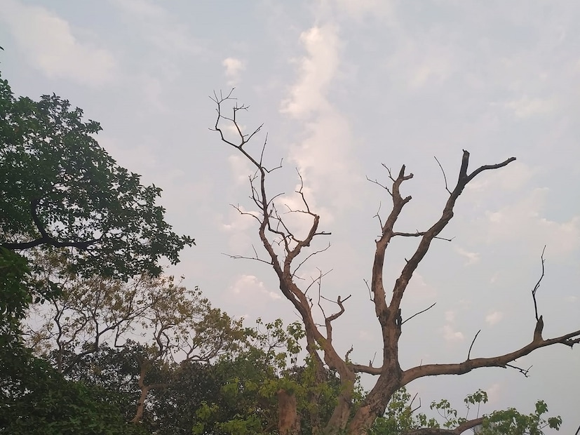 কলকাতায় আজ, শনিবার সর্বনিম্ন তাপমাত্রা ২৩.৮ ডিগ্রি সেলসিয়াস। স্বাভাবিক তাপমাত্রার থেকে যা ১ ডিগ্রি সেলসিয়াস বেশি। গতকাল, শুক্রবার বিকেলে সর্বোচ্চ তাপমাত্রা ছিল ৩৪.১ ডিগ্রি সেলসিয়াস। যা স্বাভাবিকের তুলনায় ১ ডিগ্রি সেলসিয়াস বেশি। বাতাসে আপেক্ষিক আর্দ্রতার পরিমাণ ৩৭ থেকে ৯৬ শতাংশ। আগামী ২৪ ঘণ্টায় কলকাতা শহরে তাপমাত্রা থাকবে ২৪ থেকে ৩৩ ডিগ্রি সেলসিয়াসের মধ্যে। শহরে গত ২৪ ঘণ্টায় বৃষ্টি হয়েছে ৬.৪ মিলিমিটার।