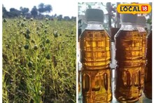 সর্ষে তেলের বদলে এবার রান্না করুন এই তেলে, দূরে থাকবে একাধিক রোগ!