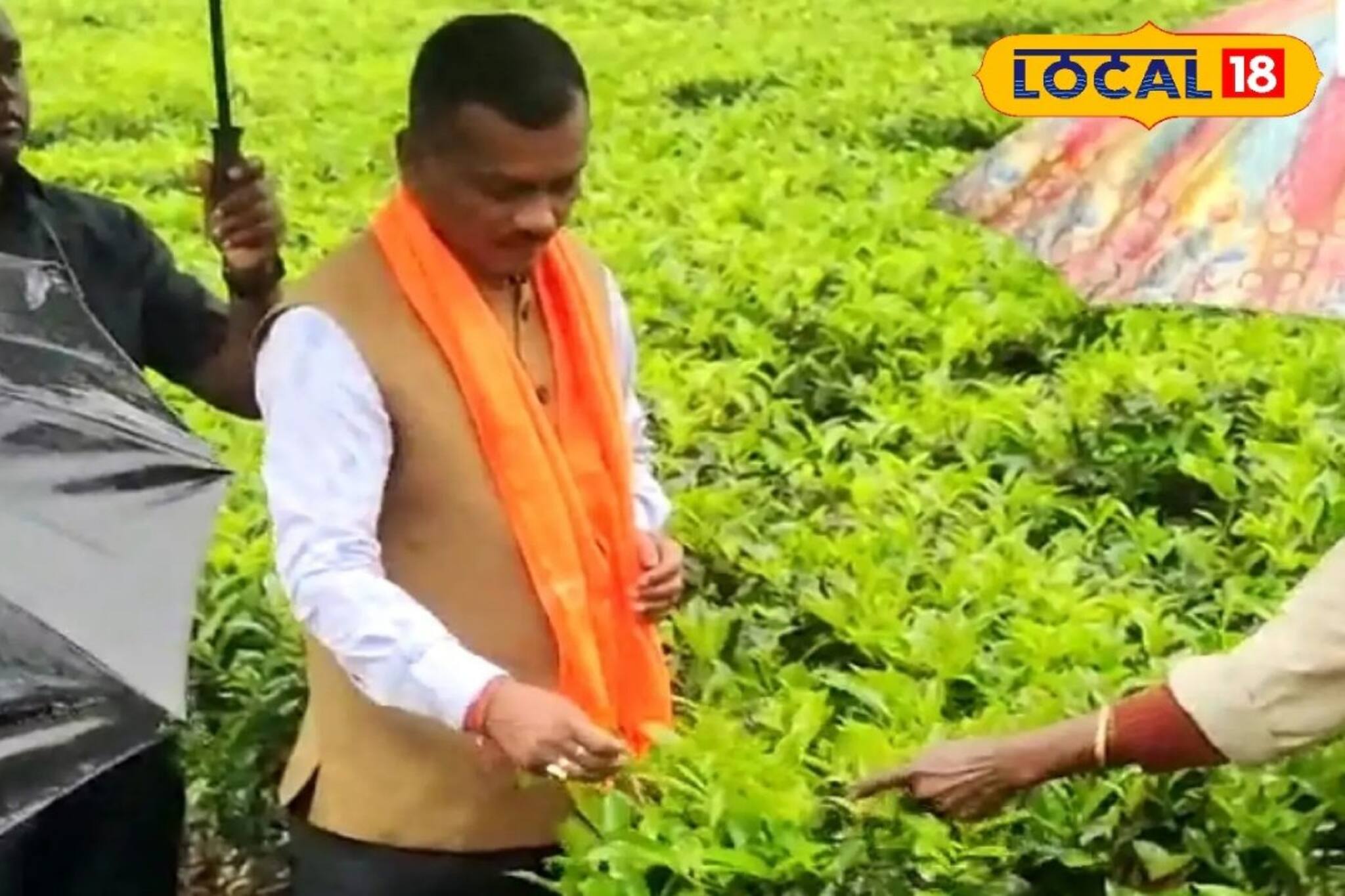 চা পাতা তুলে শ্রমিকদের মনের কথা জানার চেষ্টা বিজেপি প্রার্থীর! জমজমাট প্রচার আলিপুরদুয়ারে