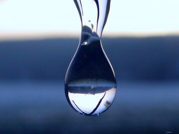 বলুন তো কোন প্রাণী গোটা জীবনে এক ফোঁটাও জল খায় না? উত্তরটা জানলে চমকে যাবেন