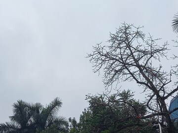আগামী ৪৮ ঘণ্টায় দক্ষিণবঙ্গে কালবৈশাখীর সম্ভাবনা!বজ্রবিদ্যুৎসহ বৃষ্টির পূর্বাভাস