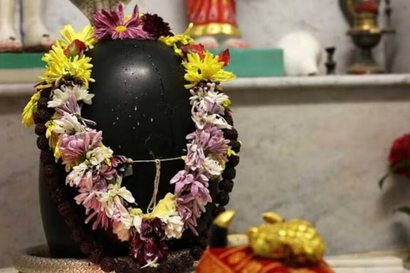 এ বছর নীলষষ্ঠী ব্রত পালিত হবে শুক্রবার, ১২ এপ্রিল৷ সেদিনই সব রীতিনীতি পালন করে সন্তানের মঙ্গলকামনায় পুজো করবেন মায়েরা৷