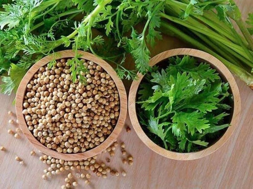 আয়ুর্বেদশাস্ত্র মতে ধনেদানা হজমে সাহায্য করে। বাড়িয়ে তোলে মেটাবলিজমের হার। তাই রোগা হওয়ার অন্যতম হাতিয়ার হতে পারে এই মশলা।