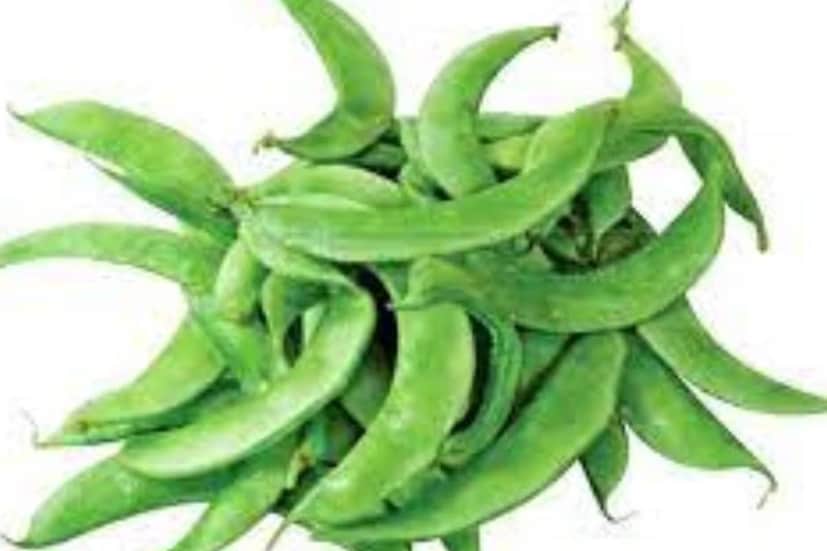 কোষ্ঠকাঠিন্য, গ্যাস, অম্বল, বদহজমও দূর হয়। গা বমি ভাব, আলসার, ডায়রিয়া, কৃমির সমস্যার সমাধানও লুকিয়ে শিমে। শিমের ভিটামিন ডি, ক্যালসিয়াম, ফসফরাস ভাল রাখে শরীরের হাড়ের স্বাস্থ্য। দাঁতের ক্ষয় রোধ করে ভাল রাখে দাঁতও।