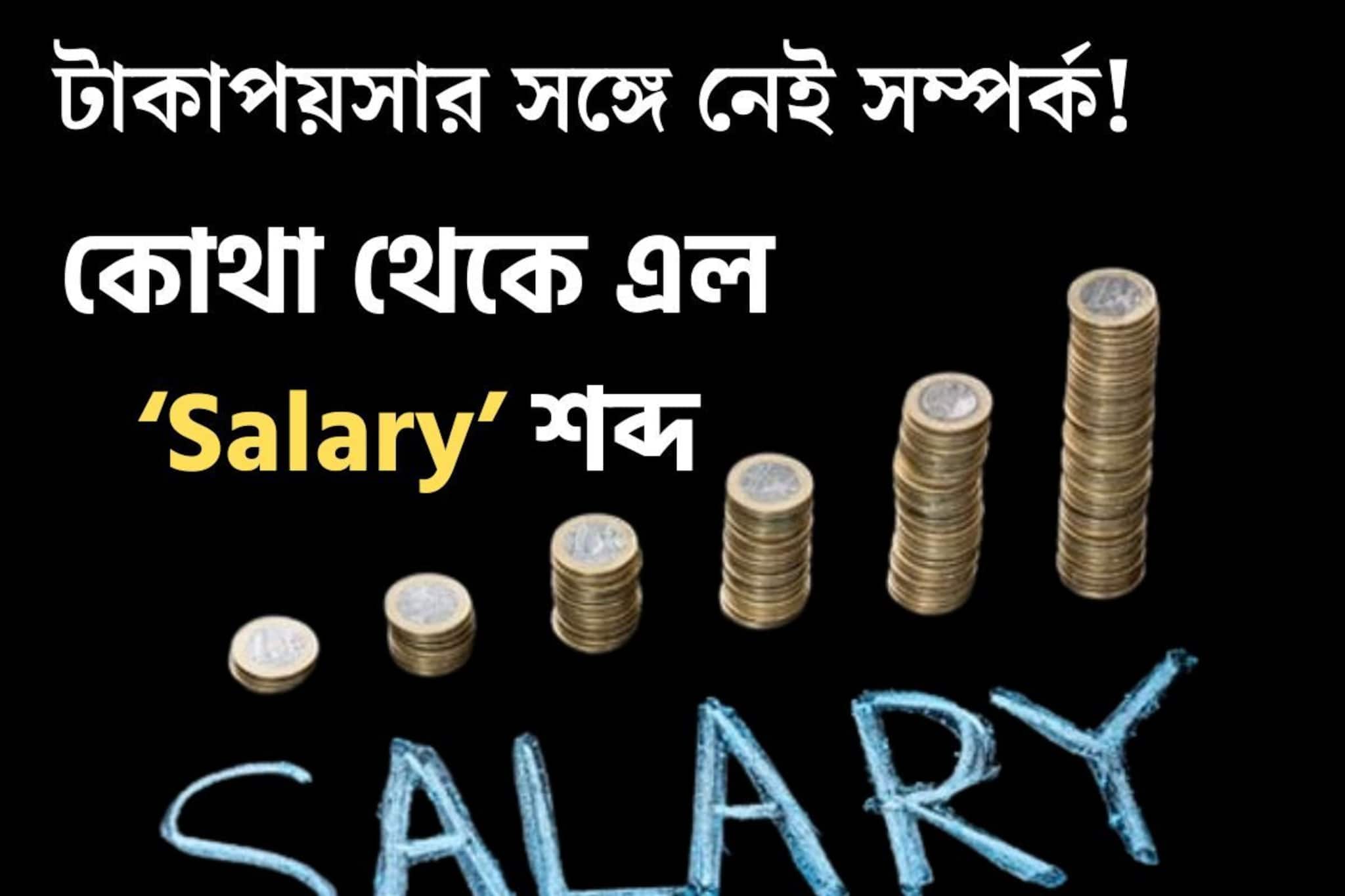 টাকার সঙ্গে সম্পর্কই নেই! কোথা থেকে এল Salary শব্দটা? সঠিক উত্তর আছে রান্নাঘরে
