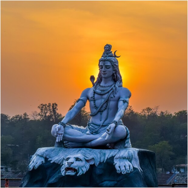 জ্যোতিষ শাস্ত্র অনুসারে, মহাশিবরাত্রির দিন ভগবান শিবকে খুশি করার জন্য কিছু কাজ করা যেতে পারে। জ্যোতিষশাস্ত্রে বলা হয়েছে মহাশিবরাত্রির দিন কিছু গাছ লাগালে। শিবের আশীর্বাদ আপনার ও পরিবারের উপর থাকবে। 