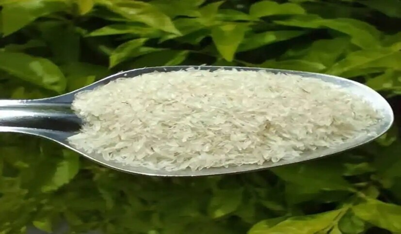 লিপিড প্রোফাইল উন্নত করেনিউজিল্যান্ডের কিছু গবেষক একটি গবেষণা পরিচালনা করেছিলেন যা ছয় সপ্তাহ ধরে ধারাবাহিকভাবে ৬ গ্রাম ইসবগুল খাওয়ার ফলে চর্বি কমে যায় এবং অংশগ্রহণকারীদের খারাপ কোলেস্টেরলের মাত্রা হ্রাস পেয়েছে। যা ওজন কমাতে সহায়তা করতে পারে।