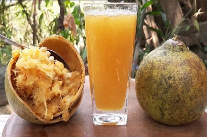 অনেকেই ব্লাড সুগারে বেলফল খান না৷ কিন্তু এটা ভুল ধারণা৷ বরং ডায়াবেটিসে বেল উপকারী৷ ইনসুলিন সংবেদনশীলতা বাড়িয়ে রক্তে শর্করার মাত্রা নিয়ন্ত্রণ করে বেলের উপকারিতা৷ 