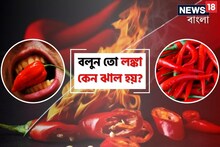 বলুন তো লঙ্কা কেন ঝাল হয়...? 'কাদের' জন্য লঙ্কা খাওয়া মোটেই উচিত নয়, জানেন?