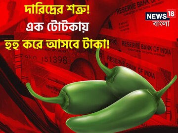 প্রমোশন আটকে যাচ্ছে..? একফোঁটাও টাকা 'টিকছে' না? কাঁচালঙ্কা দিয়ে করুন এই 'উপায়'