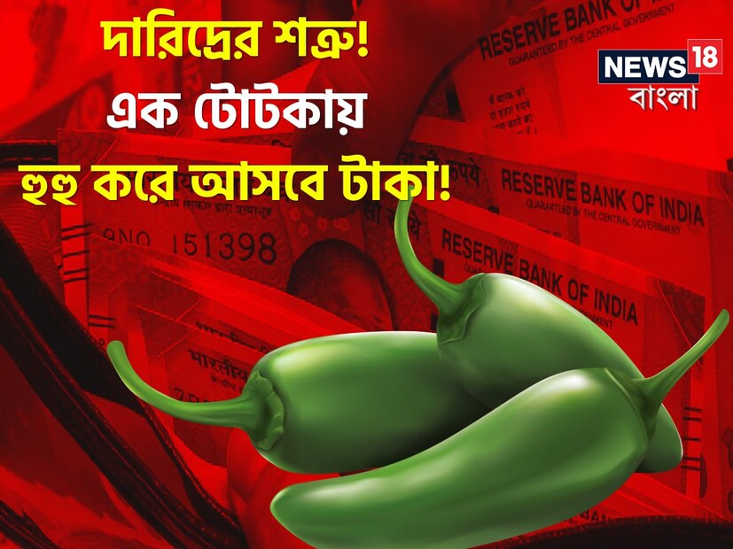 দারিদ্রের শত্রু! এই এক টোটকায় হুহু করে আসবে টাকা! রোগ বালাই কাছে ধারে ঘেঁষবে না। সুখের সাত সাগরে ভাসবেন! শুধু কাঁচালঙ্কা দিয়ে করুন এই ছোট্ট 'উপায়'! বাস্তু বিষেশজ্ঞ বুঝিয়ে দিলেন কাঁচালঙ্কার বিশাল গুণ।